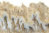 Graveyard Plume Agate Slab - Eastern Oregon #227989-1